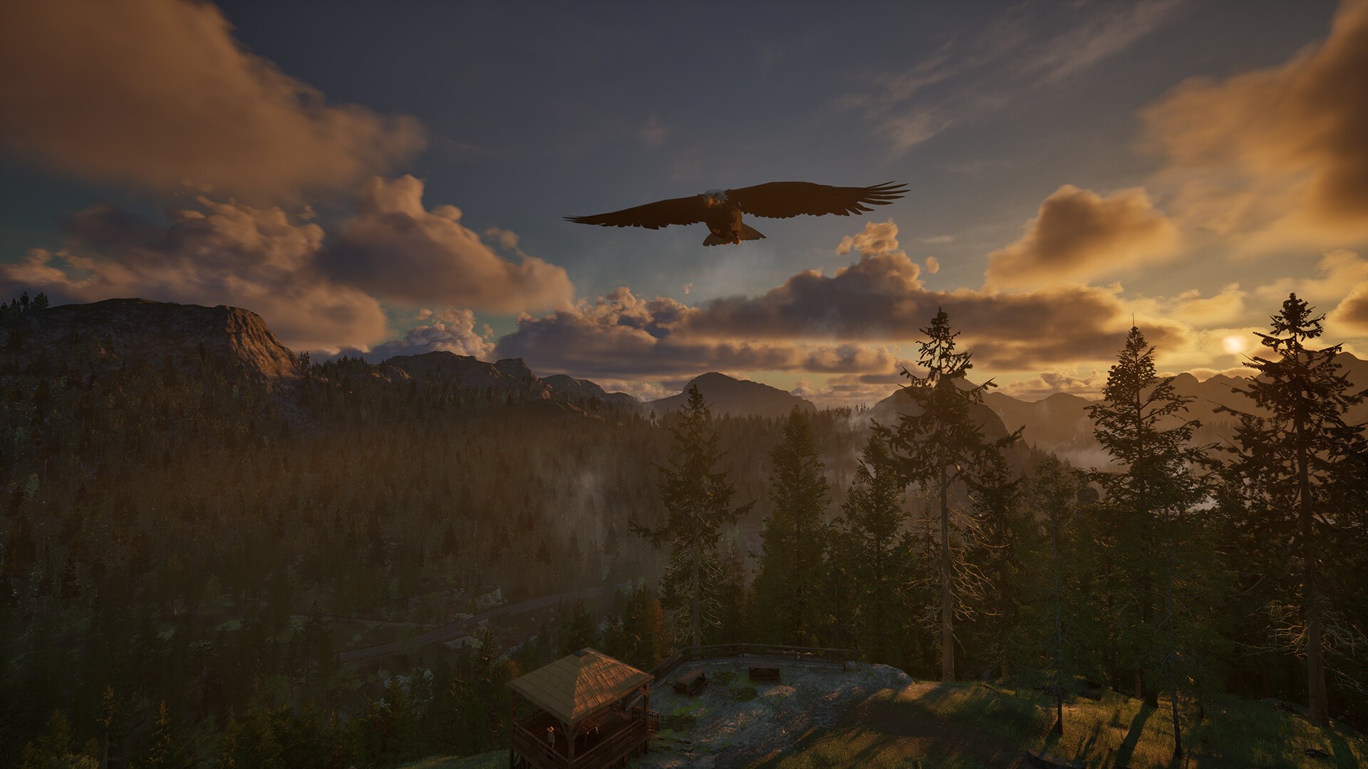 【新游推荐】护林员之路:国家公园模拟器(PC云游戏)今日16:48首发上线